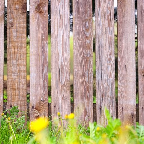 Holz Zaun mit gelben Blumen